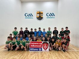 Tyrone Boys Handball Finals