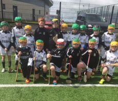 Allianz Cumann na mBunscol Hurling & Camogie Tournament 2015.