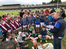 Cabragh Cup 2018
