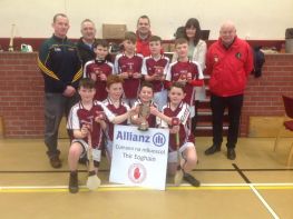 Indoor Hurling Final 2019