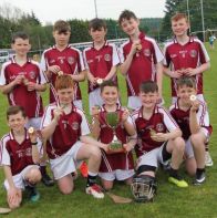 Outdoor Hurling: Carrickmore