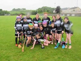 Camogie County Tournament 2019