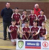Indoor Hurling Co. Final 2020