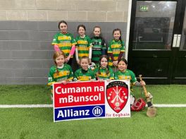 Allianz Cumann na mBunscol Indoor Hurling / Camogie Dungannon Section 1 2023