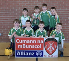 Cumann naBunscoil Indoor Hurling Finals
