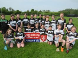 Allianz Cumann na mBunscol All-County Camogie Finals 2023