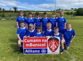 Allianz Cumann na mBunscol Tir Eoghain Heat. 