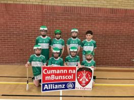 Allianz Cumann na mBunscol Indoor Hurling County Finals 2026