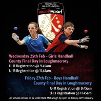 Cumann na mBunscol Handball Registration Information 2026