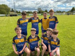Cumann na mBunscol League – Section E